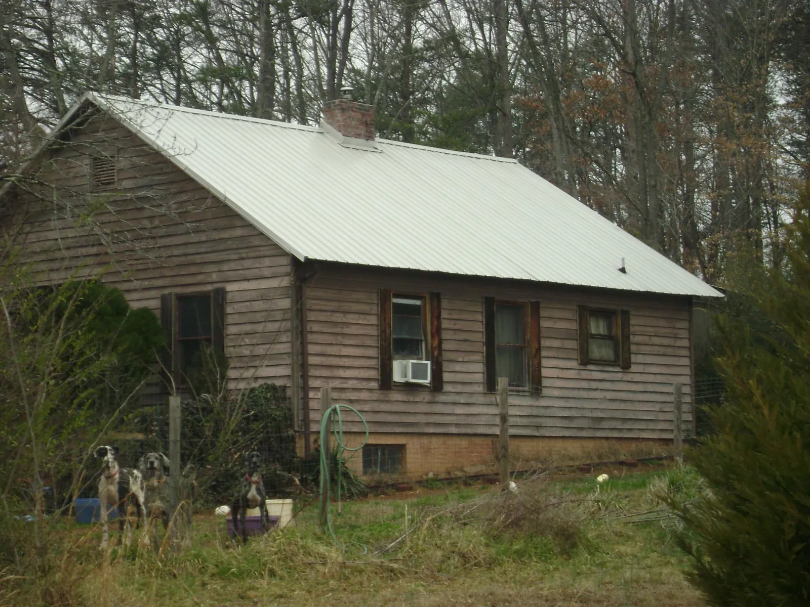 White metal roof on an old wood sided farmhouse, from a Asphalt Shingle Roof Repair job in Shickley